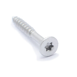 Peitpeakruvi, 5,0×40 Torx, ruspert 250 tk/pakk